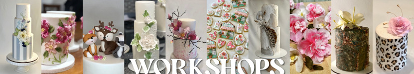 gallery/banner workshops